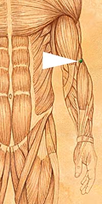 LI11 . Qu Chi